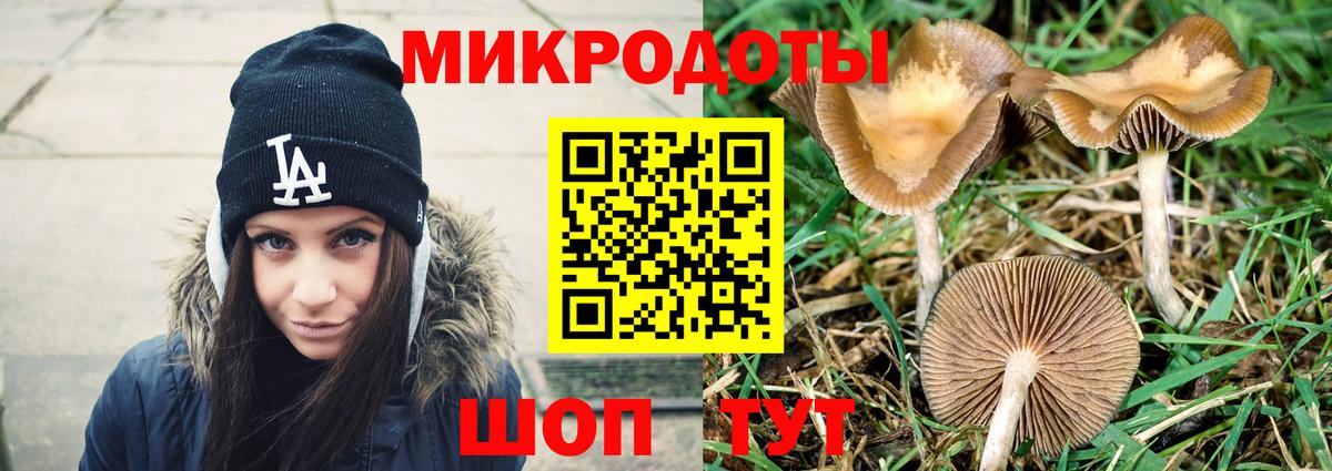 Псилоцибиновые грибы Psilocybine cubensis  магазин продажи наркотиков  Самара  Вход с VPN 